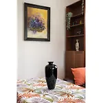 Arkadia Homely